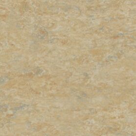Linoleum Effecta - E616BA