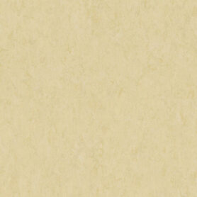 Linoleum Effecta - E619BA